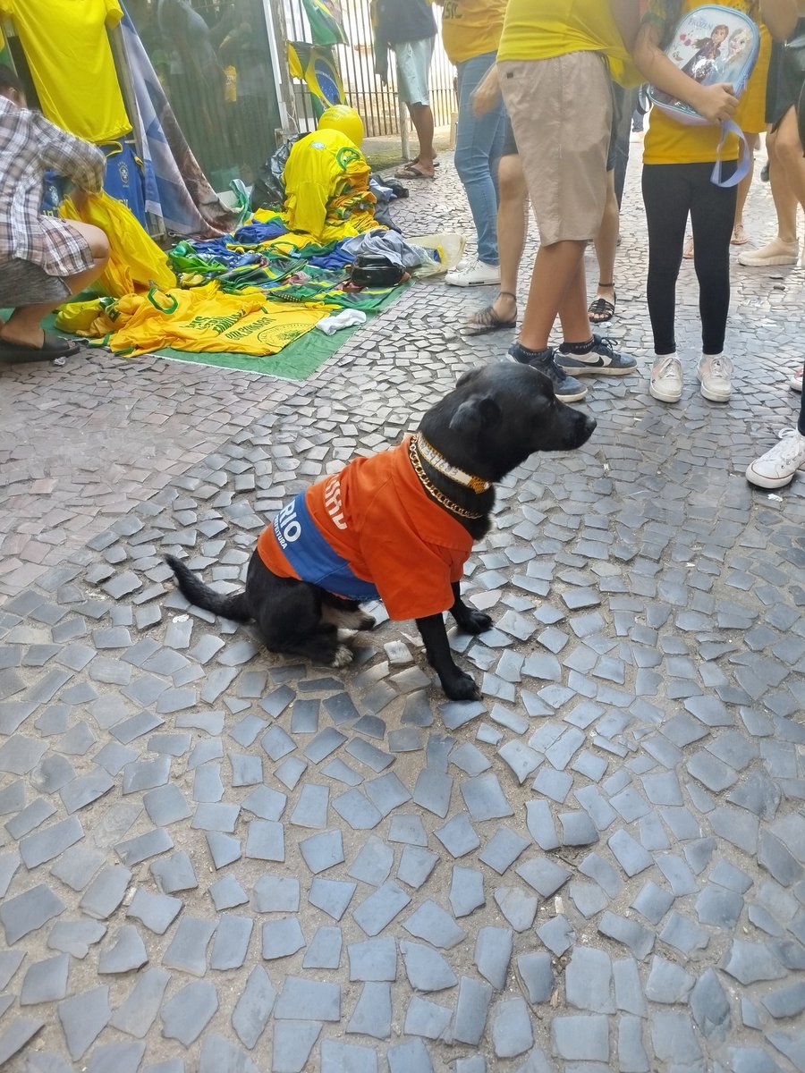 KAUMAGN0's tweet photo. Os funcionários públicos do Rio não aguentam mais o Paes. Esse aí até veio ver o Bolsonaro em Campo Grande! 🤣 https://t.co/ZmxtHlZJHQ