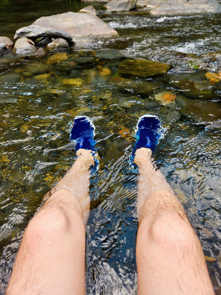 直接變冰鎮小狗
超好玩的啦 😍