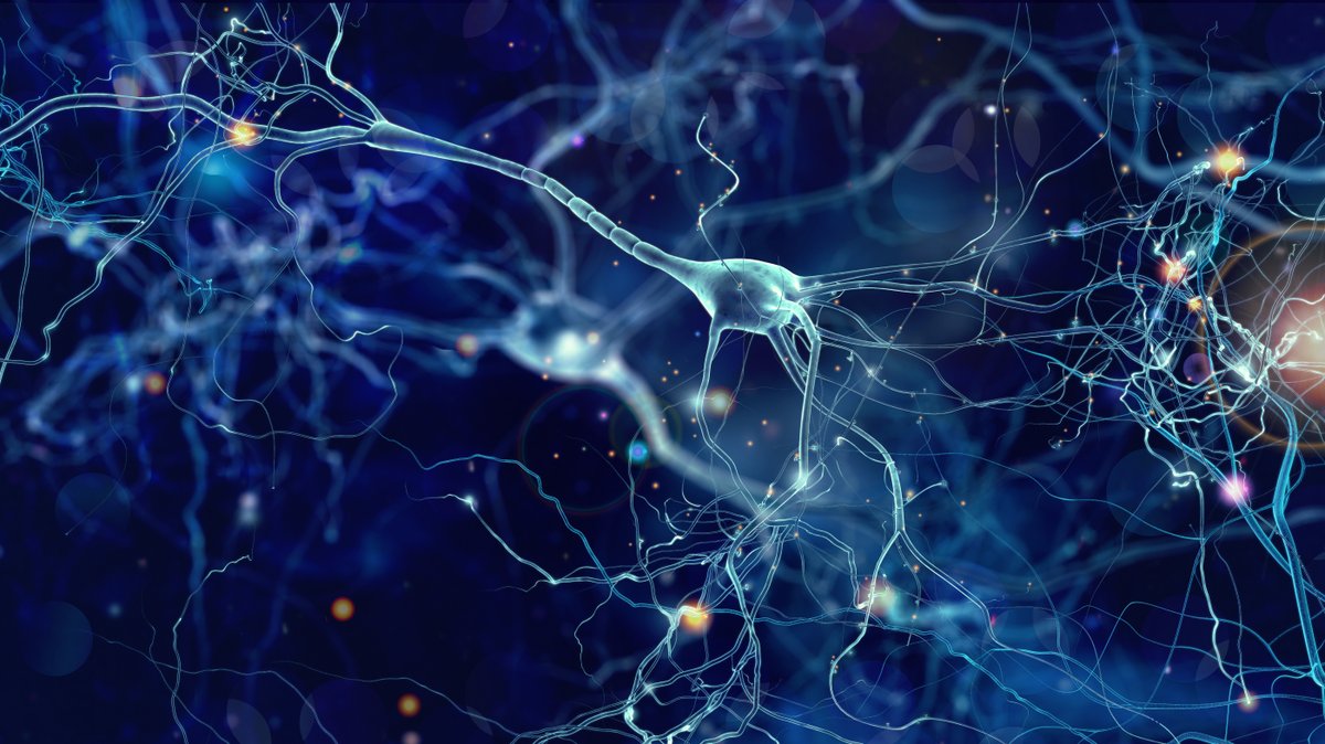 Taconic's tweet photo. How can the SOD1 rat streamline your ALS research?

Only a few days left to register for the live presentation: https://t.co/XQ0EdT5g7M https://t.co/rSUJkIYxL9