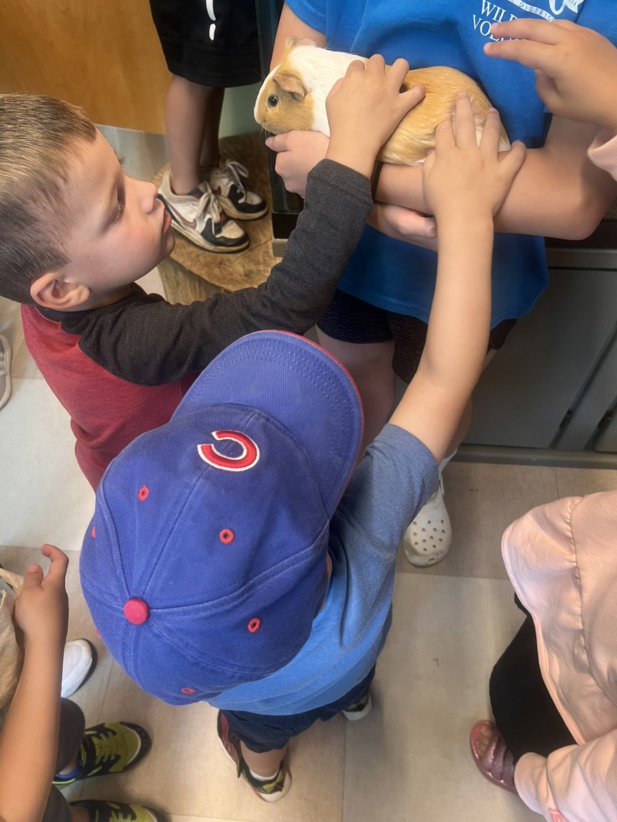 MrsMaggiore's tweet photo. yesterday’s adventure led us to the Wildwood Nature Center in Park Ridge, where we met many animal friends and ran into a fellow @emerson_ms_D64 Eagle who was volunteering her time! https://t.co/K3yqZxZwS0