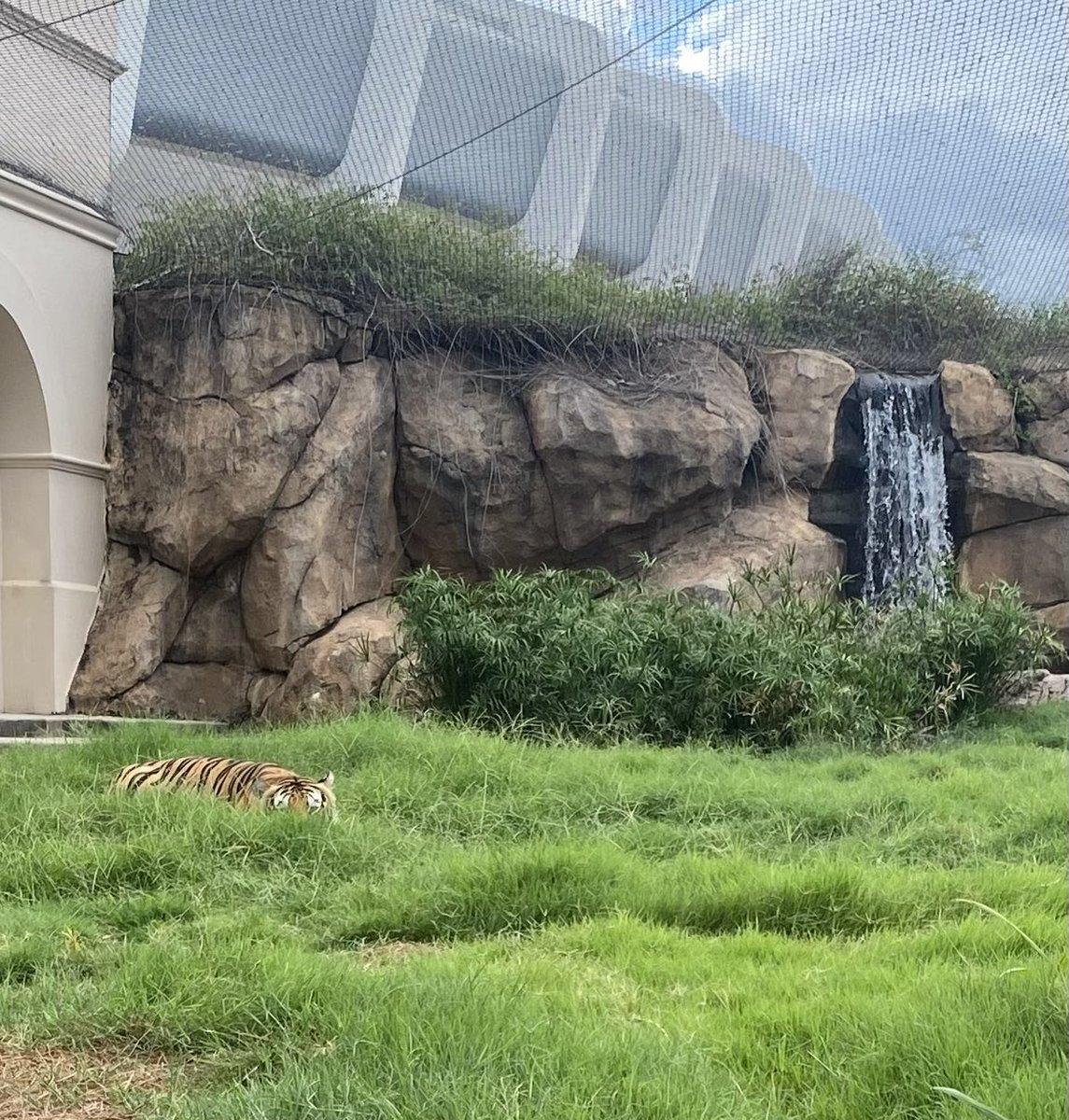 You can’t see me, right?