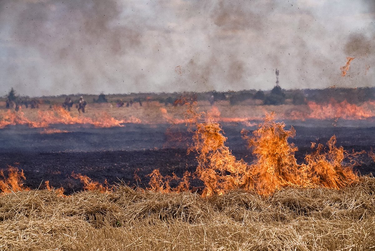 Les Soulèvements de la terre tweet media