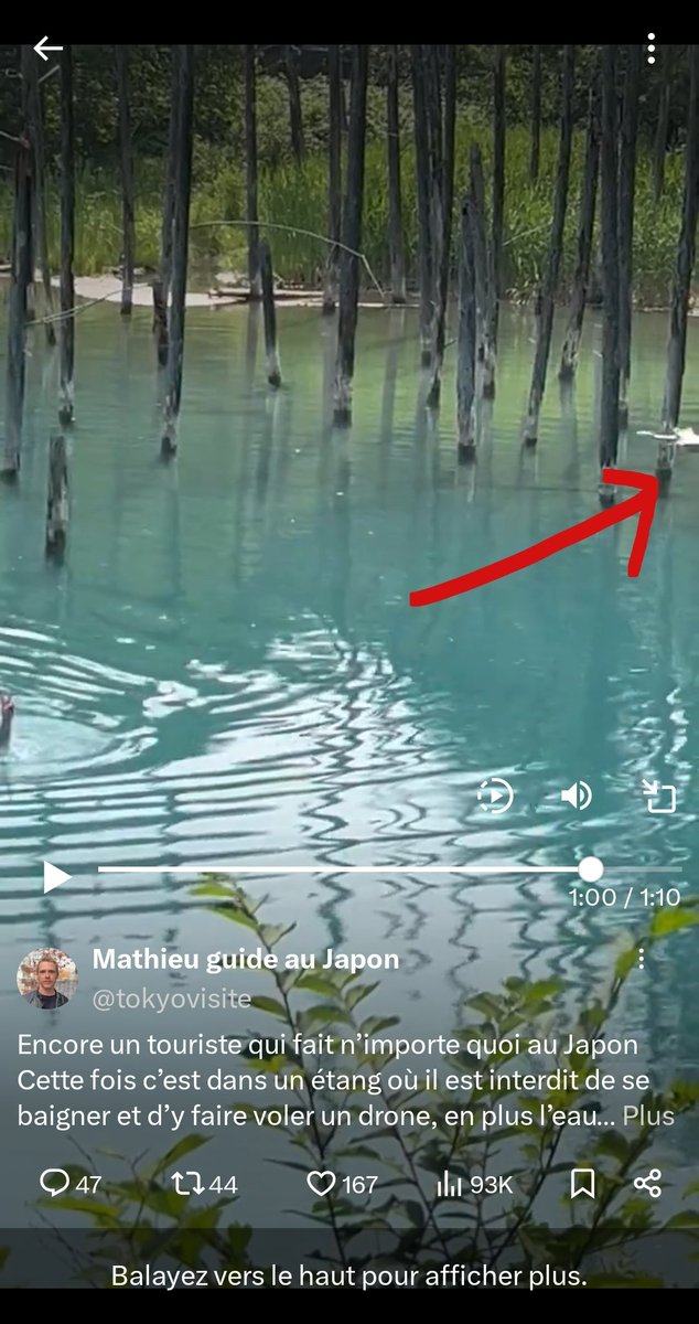 ilookreallgood's tweet photo. @StPain44 @tokyovisite Je parle de ça, ça m'a bien l'air d'être un drône https://t.co/KjOmezALLV
