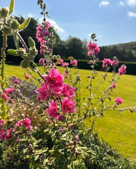 Have a quacking weekend.
There's a reason we have won best recommended wedding venue by Hitched. No need to research. The last 100 couples who gave us 5* have done it for you.

Book your tour 01432 509925

#fairytaleweddings
#herefordshireweddings