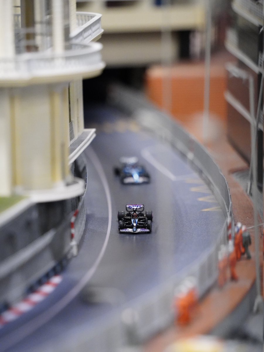 🇩🇪せり📸🍺🇩🇪 tweet media