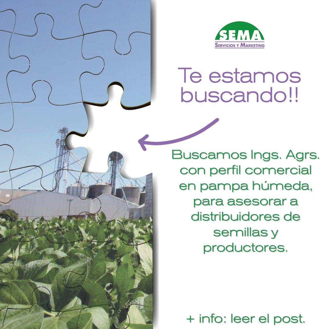 #GrupoSEMA busca incorporar ings. agrs. con perfil comercial para brindar asesoramiento a distribuidores y productores.  Más detalles de la búsqueda:
acortar.link/iplMuM

#Agricultura #Agrónomo #BúsquedaLaboral #Campo #GrupoSEMA #Trabajo #Semillas #Semillero