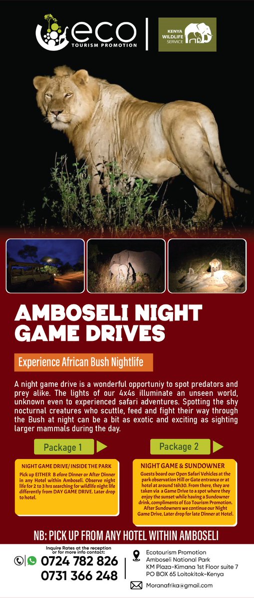 EcotourismP's tweet photo. #AmboseliNationalPark #AmboseliNightgamedrive 
Are you a Tour operator or  Travel Agent with guests staying within Amboseli National park? Make this extra activity in the bucket list. Pick up any hotel within Amboseli either before or after Dinner. https://t.co/ITe9CT15qh
