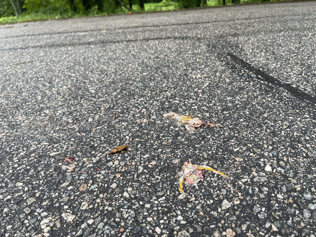 Caleb Mitchell tweet media