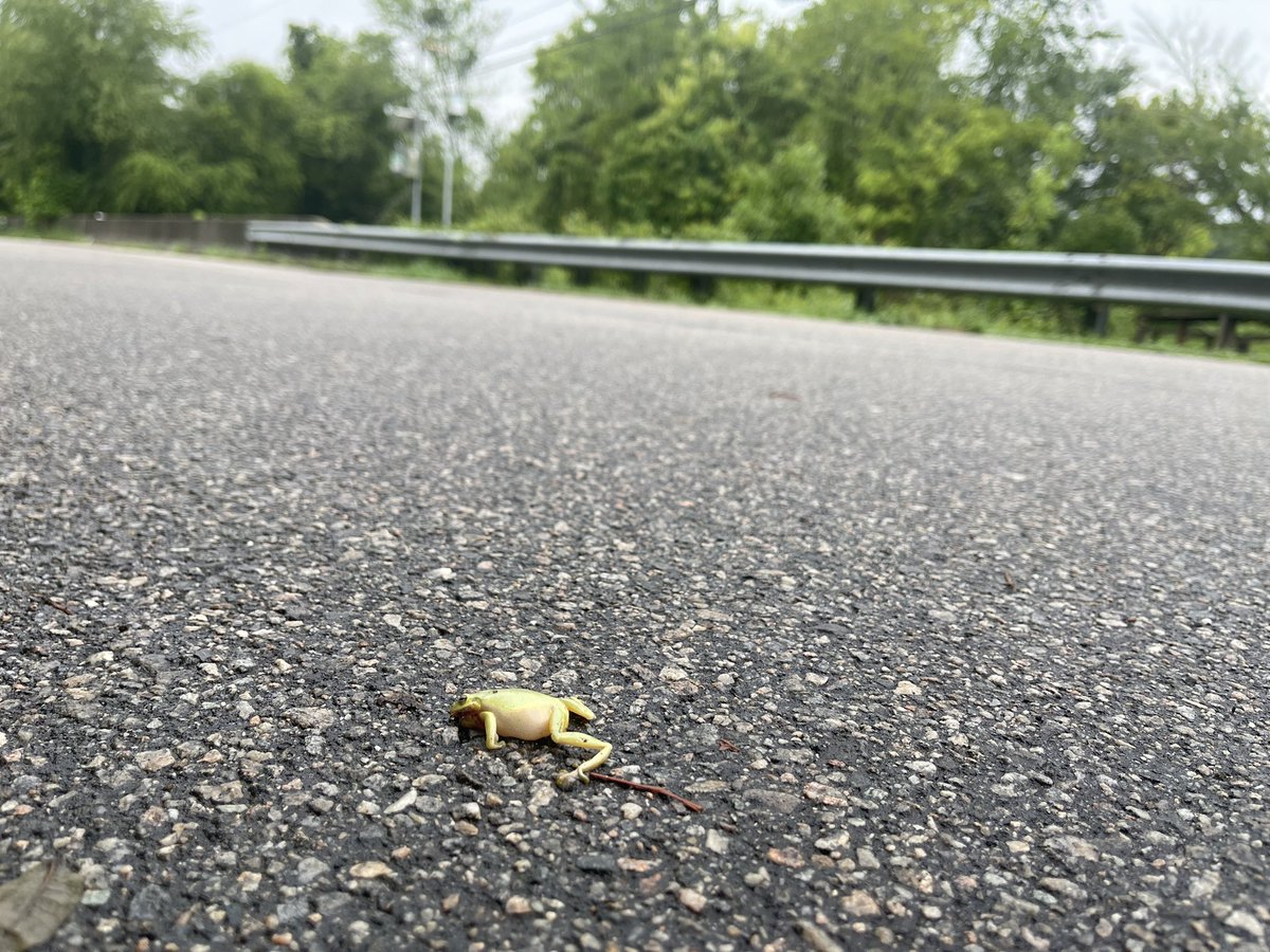 Caleb Mitchell tweet media