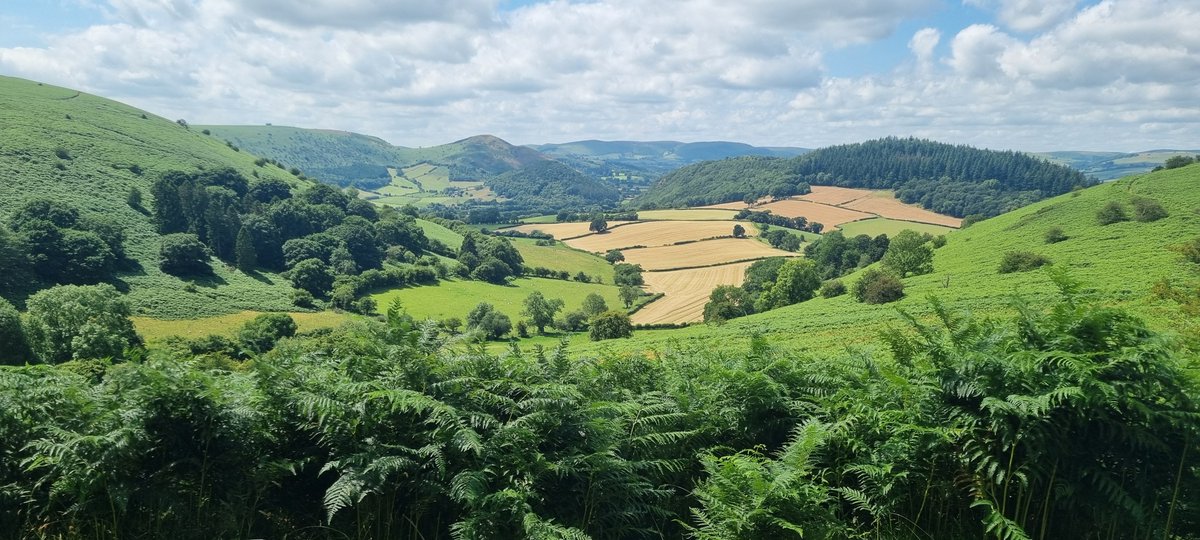 ๐๐ฃ๐ค โ๐ฆ๐๐๐๐๐ฅ๐๐๐ค tweet media