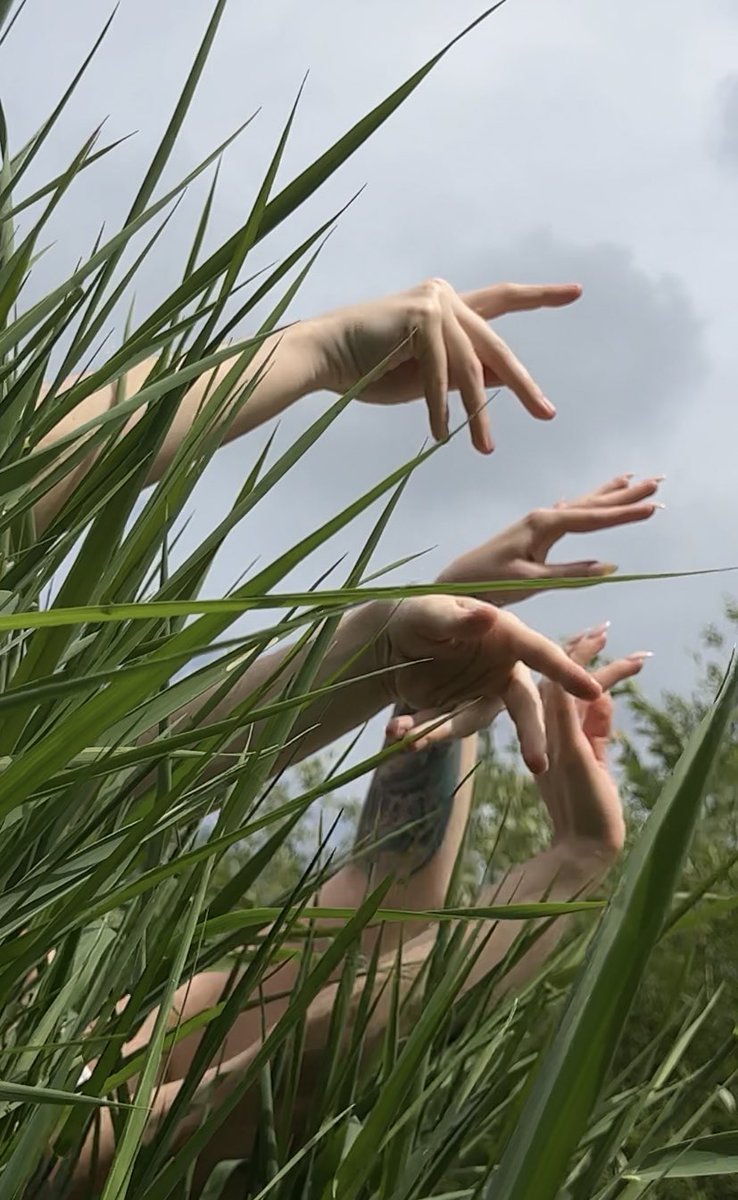 We  (me and <a href="/tarentulart/">tarentula</a> ) are preparing an incredible video collection, with deep meaning and aesthetic fullness. 
Follow our news, it will be very beautiful soon.