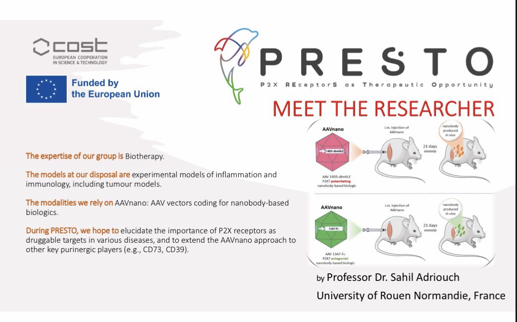 Our latest ‘meet the researcher’ is Professor Sahil Adriouch from the University of Rouen Normandie, France, their research used AAV Vectors to produce therapeutic Nanobodies #PRESTO #prestocost2024 #p2xreceptors #therapeutictargets #eucostfunding