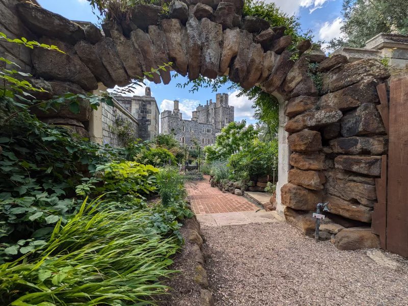 Will Tower MBE tweet media