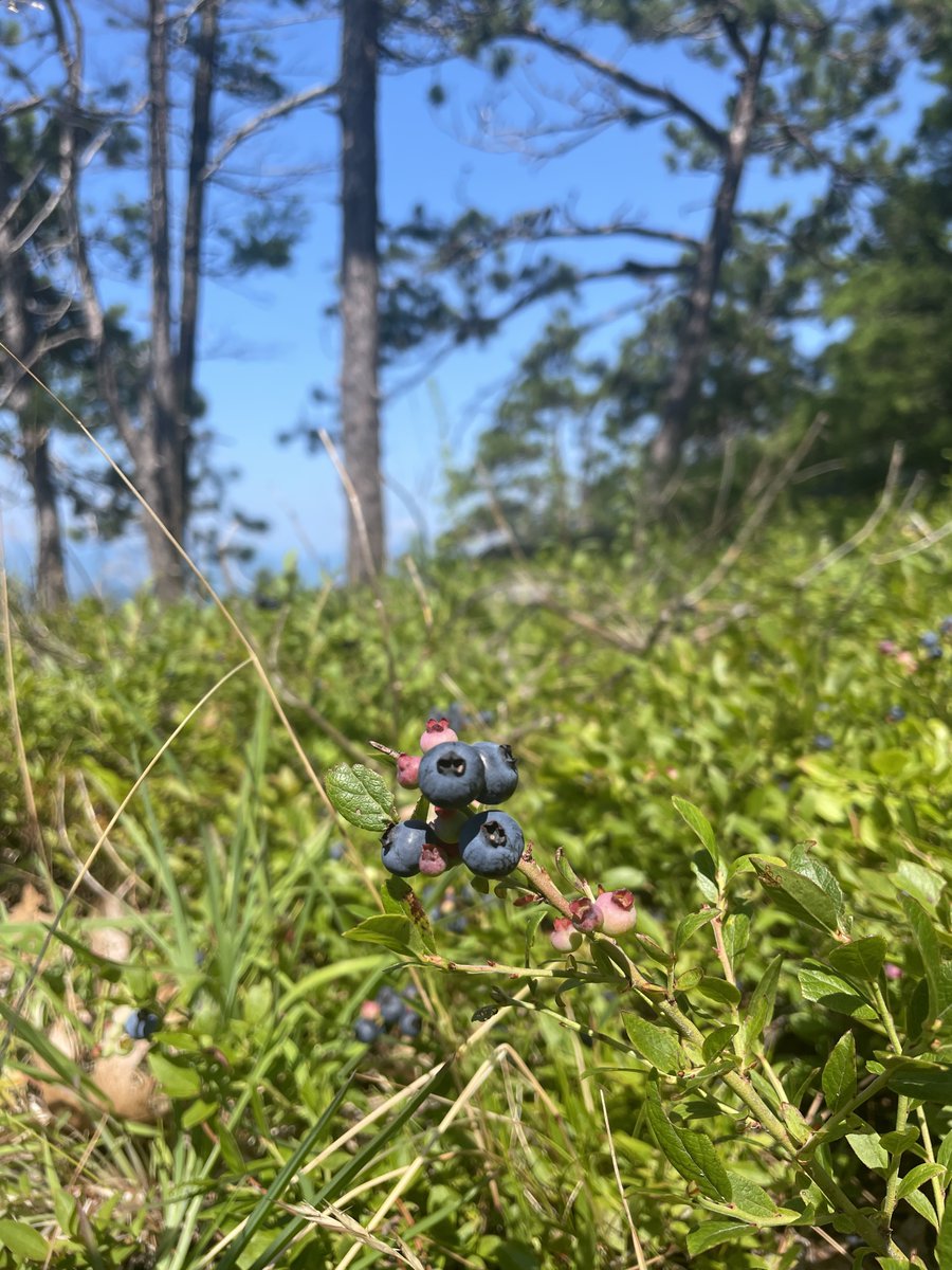 Marina Henke tweet media