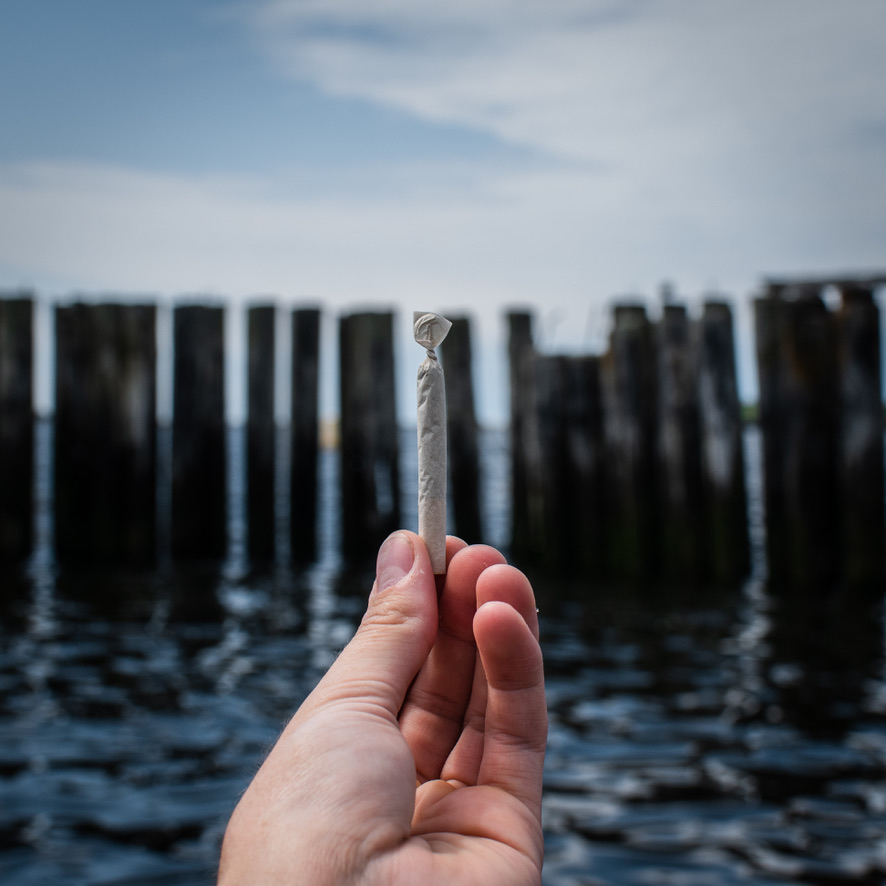 Hitting the water this weekend? Seshing at the beach? Bring the Greens to protect against wind or the Hippy for easy rolling!

#rollinglogs #weekend #canada #canadian #sesh