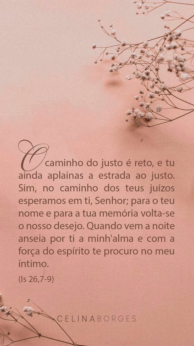 Celina Borges tweet media