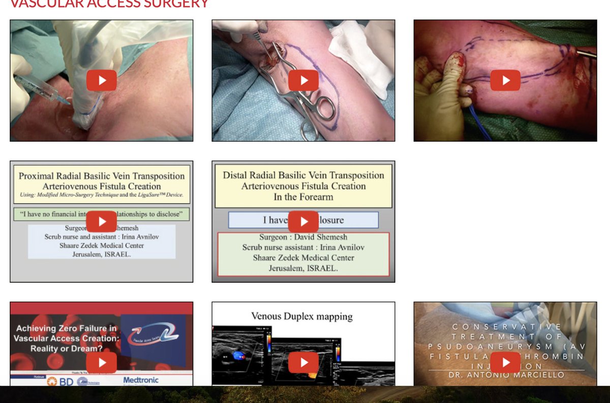 VascularAccessSociety tweet media