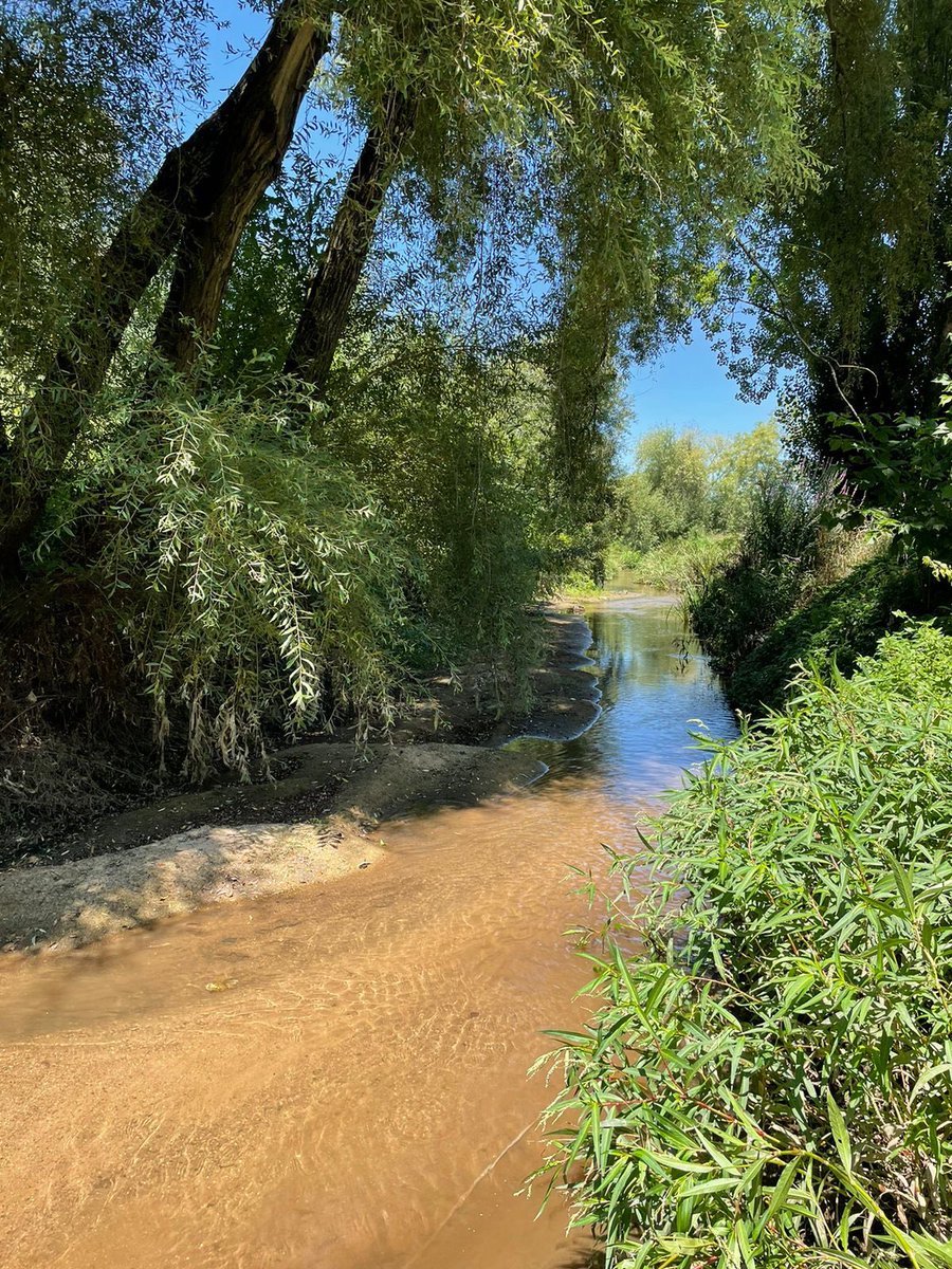 Day 19: the <a href="/MSCActions/">Marie Skłodowska-Curie Actions</a> project StreamScape continues to search for the urban streams.
Rio Velho urban stream.