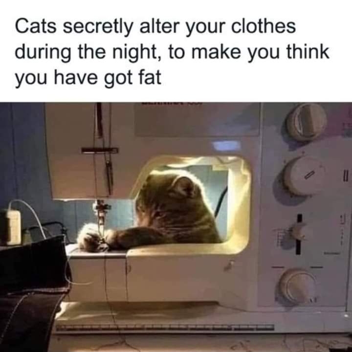 😂😂😂😂😂 I ❤️ this