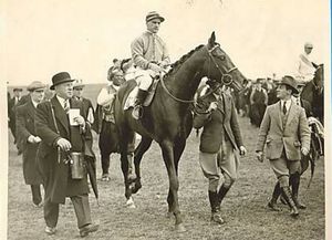 HORSERACING1002's tweet photo. PASCH🇬🇧1935
(BLANDFORD - PASCA BY MANNA)#Pasch
B/O Henry Morriss🇬🇧1935
T/ Fred Darling
6-3-1-2---
2000 Guineas, Eclipse S, Coventry S.
2nd Champion S.
3rd Epsom Derby, St. Leger S.
Stood at Banstead Manor Stud🇬🇧Sired Pasquinade, Paschette, Passefleur, Second Vintage.
Died 1939 https://t.co/OKYAxaVpcr