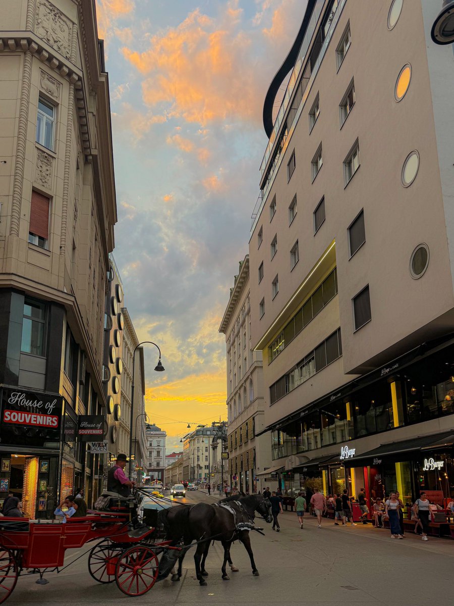 PuimekSter's tweet photo. Vienna, Austria เค้าว่าเป็นเมืองที่สวยและโรแมนติกที่สุดแห่งหนึ่งในโลก ซึ่งก็จริง สวยมากๆ ทุกตึกเหมือนถูกดีไซน์มาให้เป็นตีมเดียวกันหมดทั้งเมือง เดินไปตรงไหนก็น่ามองไปหมด 🤍 https://t.co/TB7oLA3KNM