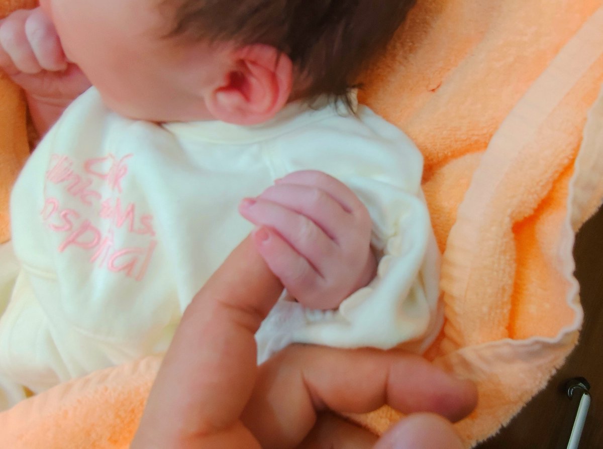 WDはやと。 tweet media