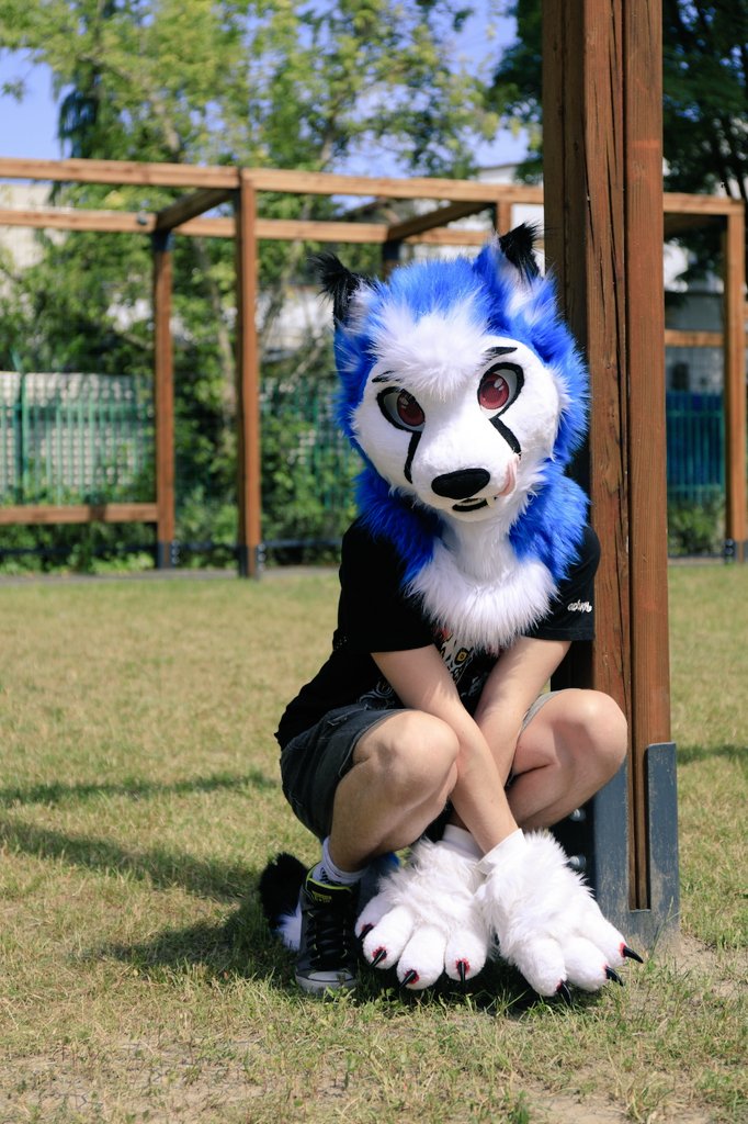 Kitty cat found in a park!
Approach slowly and you might pet it 
Meow meow~
📸 <a href="/DerooShep/">Deroo</a>
#FursuitFriday