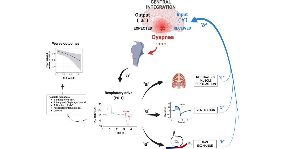 Airway Occlusion Pressure and Dyspnea during Mechanical Ventilation: Giving Words to the Pleas of the Respiratory Centers

🔓 Open Access

🔗 tinyurl.com/3krbuxez