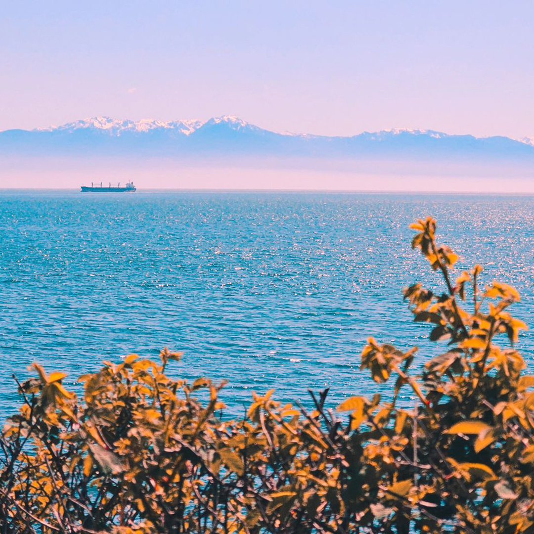 victoriavisitor's tweet photo. Golden rays beam down
Wind whispering in your ear
Summer days are here
๐: Ogden Point
๐ธ: _sahleme (IG)
#SummerDays #GoldenRays #OceanBreeze #VictoriaBC https://t.co/0idX9zvlue