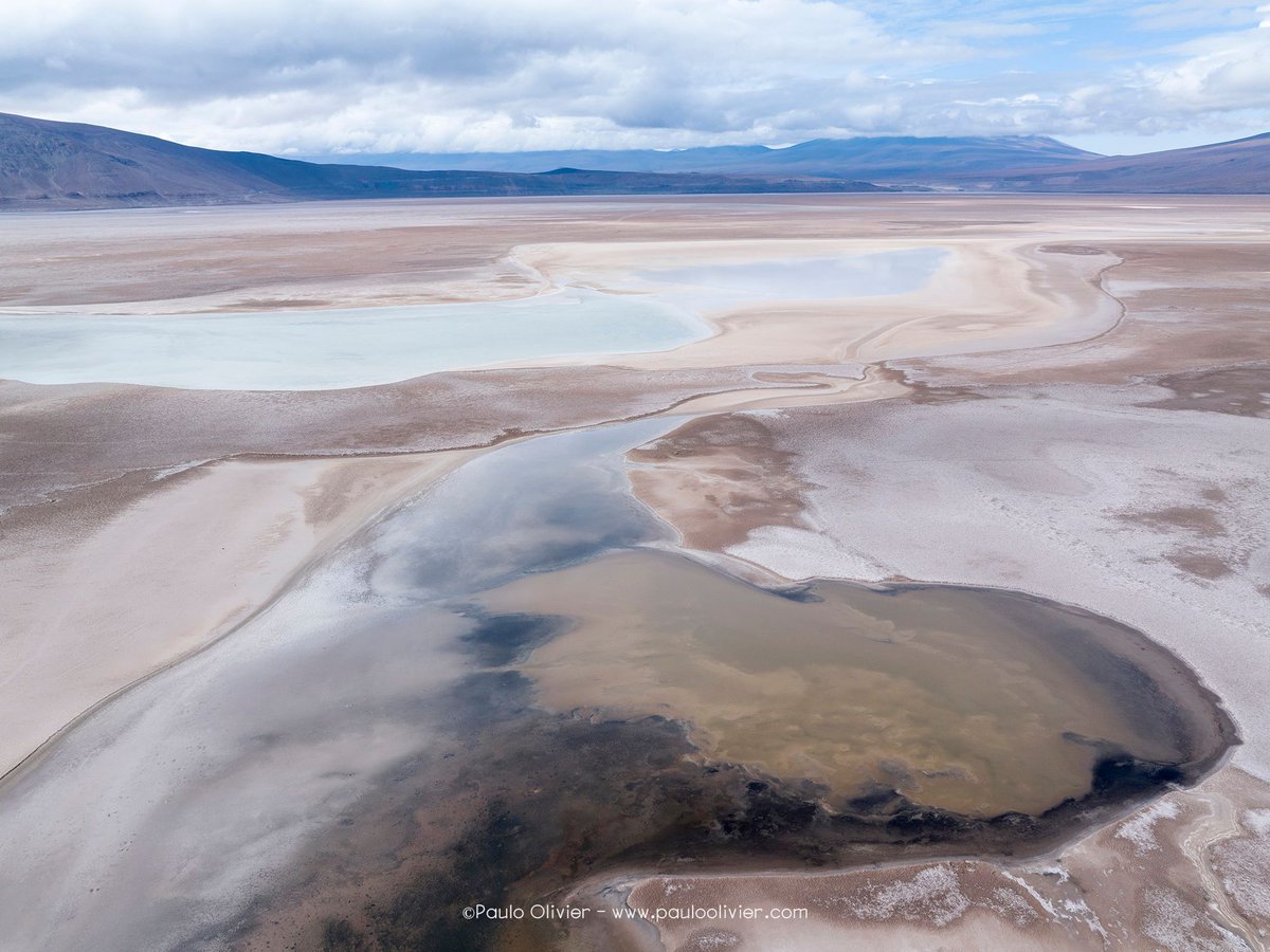 De los lugares nuevos que he conocido, creo que el Salar de Carcote es uno de los que más me impactó.

Ubicado a unos 150 kilómetros de Calama, en dirección a Ollague, es un espectáculo natural que mezcla colores pastel, texturas y volcanes.

Amenazado, como tantos otros salares.