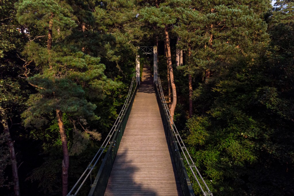 bmouthofficial's tweet image. A little hidden gem in Bournemouth... Have you been here before? ⁠
#getoutandexplore #LoveBournemouth⁠