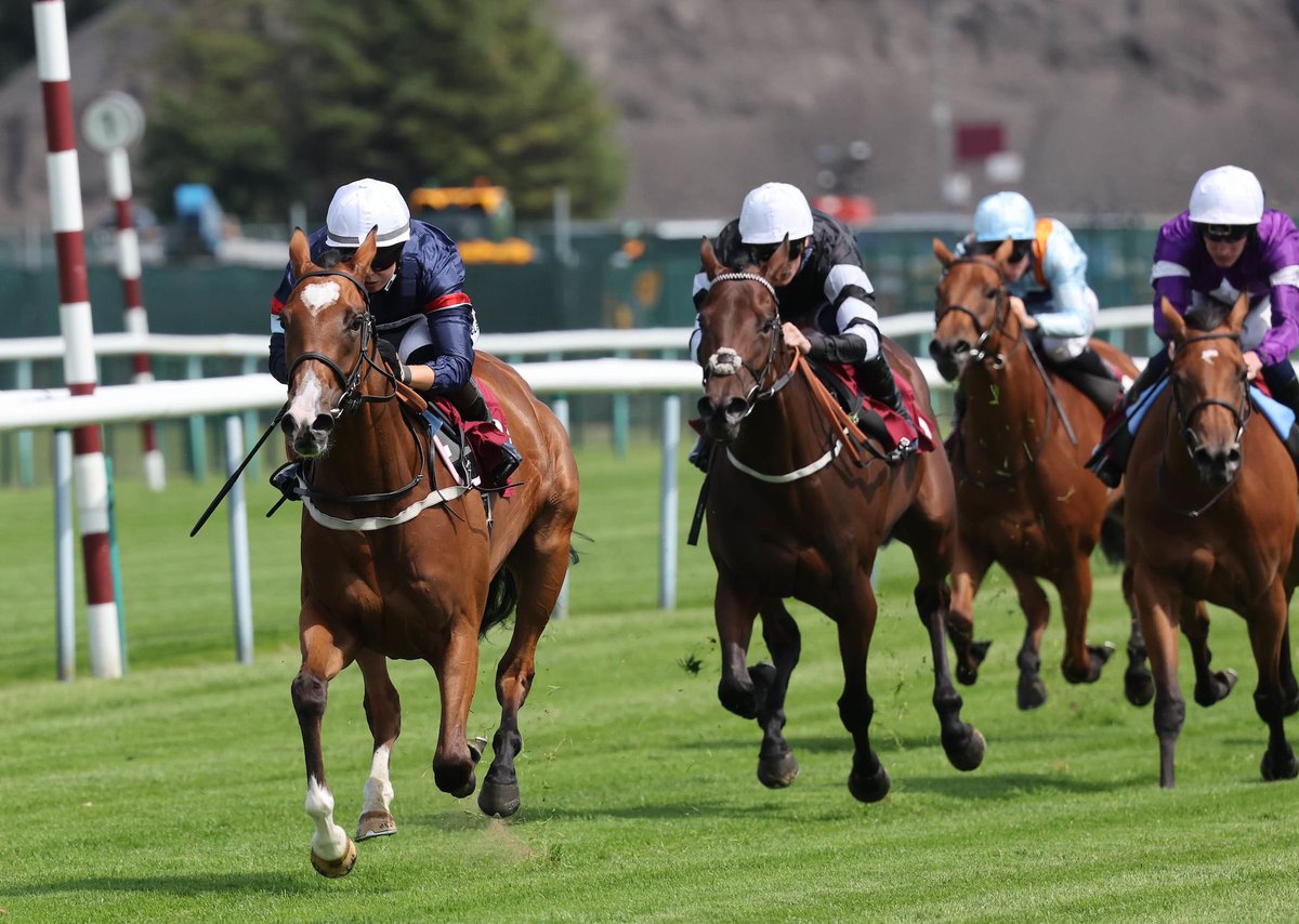 Harry_Whitt's tweet photo. 🩷Mollie Foster🩷 wins @haydockraces for @KennetValleySyn trained by @edwalkerracing ridden by @OsborneSaffie 🙌🏇 
Broken-in and pre-trained by the team at Hill Barn this winter #2yowinner #KVSyndicates #earlyeducation #theperfectprep #pretraining #takethelead #HWR https://t.co/3LGZwYtA13