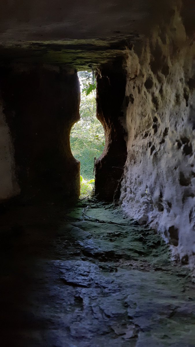 TorlandsA's tweet photo. ROMANTIC RUINS of Barry Pomeroy Castle have inspired visitors through the centuries with tales of hauntings, it’s also surrounded by amazing woodland &amp; these beautiful windows have been perfect for spotting wildlife outside the walls too #schooltrip #britishhistory https://t.co/6Sk6UVridH
