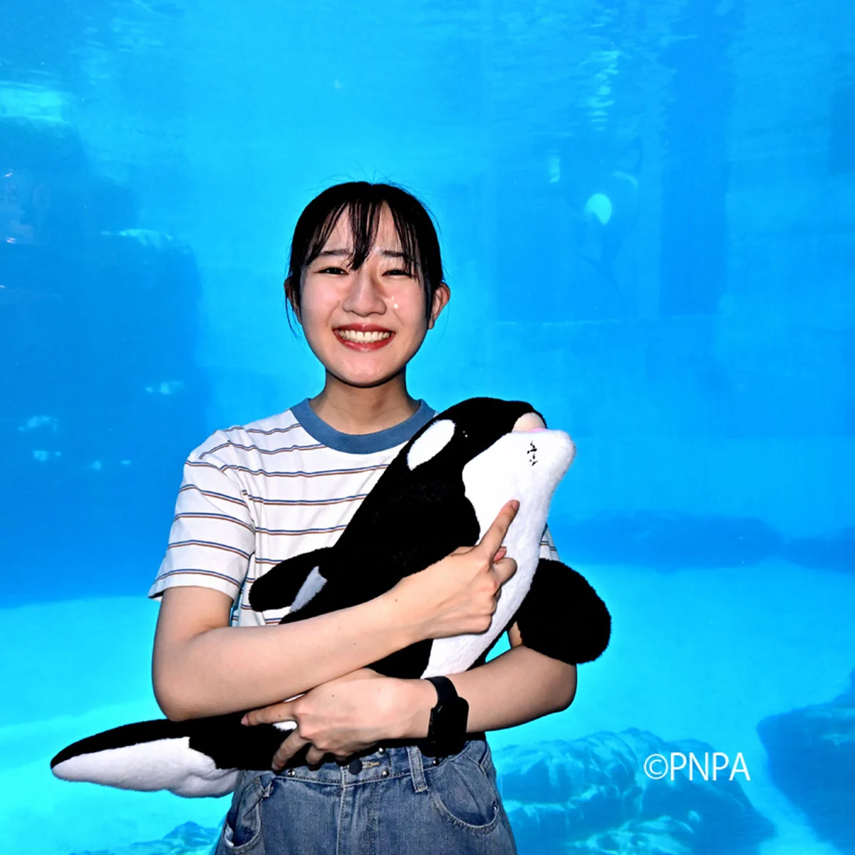 名古屋港水族館 on X: 