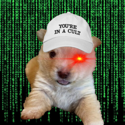 gorillacap's tweet photo. $BOPPY NEXT LEG UP LOADING https://t.co/4pkU5aZD0N