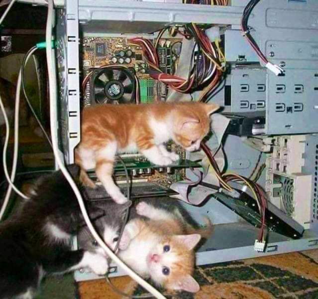SlenderSherbet's tweet photo. Please be patient, our technical team is working very hard to resolve the issue.

#Microsoft 
#Bluescreen 
#Windows https://t.co/YBqwroEr6f