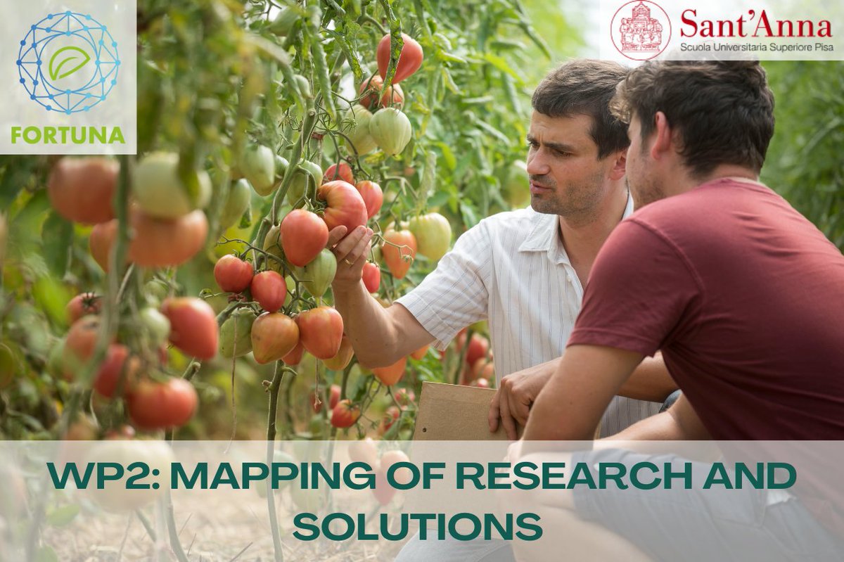 FORTUNA (@fortunah2020) on Twitter photo Led by <a href="/ScuolaSantAnna/">ScuolaSantAnna</a>, WP2 aims to gather research findings and solutions through multi-actor engagement, highlighting innovations for reducing pesticide.
Learn more about WP2 ➡️ horizon-fortuna.eu/workpackages/
#HorizonEurope #FORTUNA #PesticideReduction #SustainableAgriculture Led by <a href="/ScuolaSantAnna/">ScuolaSantAnna</a>, WP2 aims to gather research findings and solutions through multi-actor engagement, highlighting innovations for reducing pesticide.
Learn more about WP2 ➡️ horizon-fortuna.eu/workpackages/
#HorizonEurope #FORTUNA #PesticideReduction #SustainableAgriculture