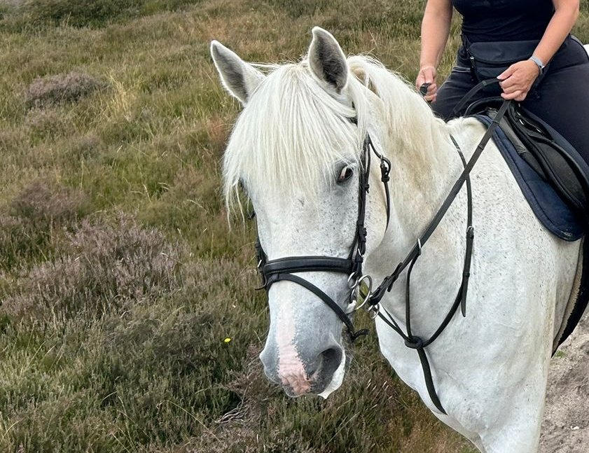 Elsbeth Kwant tweet media