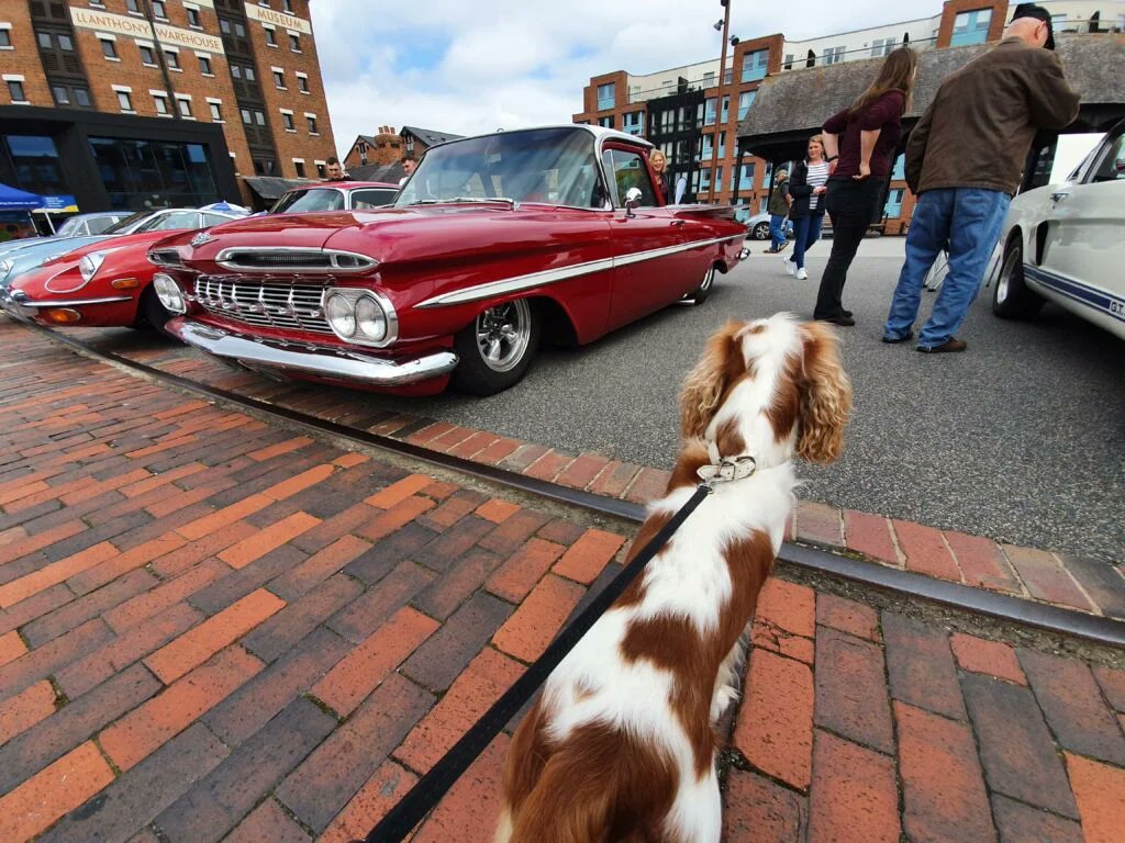 RJonTourUK tweet media