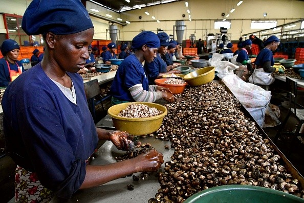 Monafrique8's tweet photo. 🇨🇮 La Côte d'Ivoire booste son industrie avec Arise IIP et JG Group !
Une usine de transformation de noix de cajou à Akoupé-Zeudji, coûtant 100 millions de dollars, doublera la capacité de transformation du pays et créera 10 000 emplois. 
⬇️ https://t.co/4BAhlD7mLC