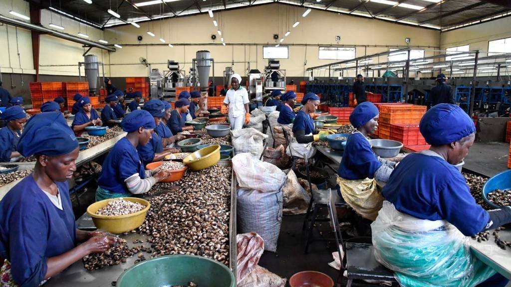 Monafrique8's tweet photo. 🇨🇮 La Côte d'Ivoire booste son industrie avec Arise IIP et JG Group !
Une usine de transformation de noix de cajou à Akoupé-Zeudji, coûtant 100 millions de dollars, doublera la capacité de transformation du pays et créera 10 000 emplois. 
⬇️ https://t.co/4BAhlD7mLC