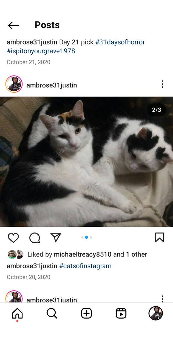 WWENXTGuy's tweet photo. #RIPBoy My Boy hope you with your sister now Love your pets everyday if you have any bc we don't get enough time with them #CatsAreFamily https://t.co/fLsbd16VIS