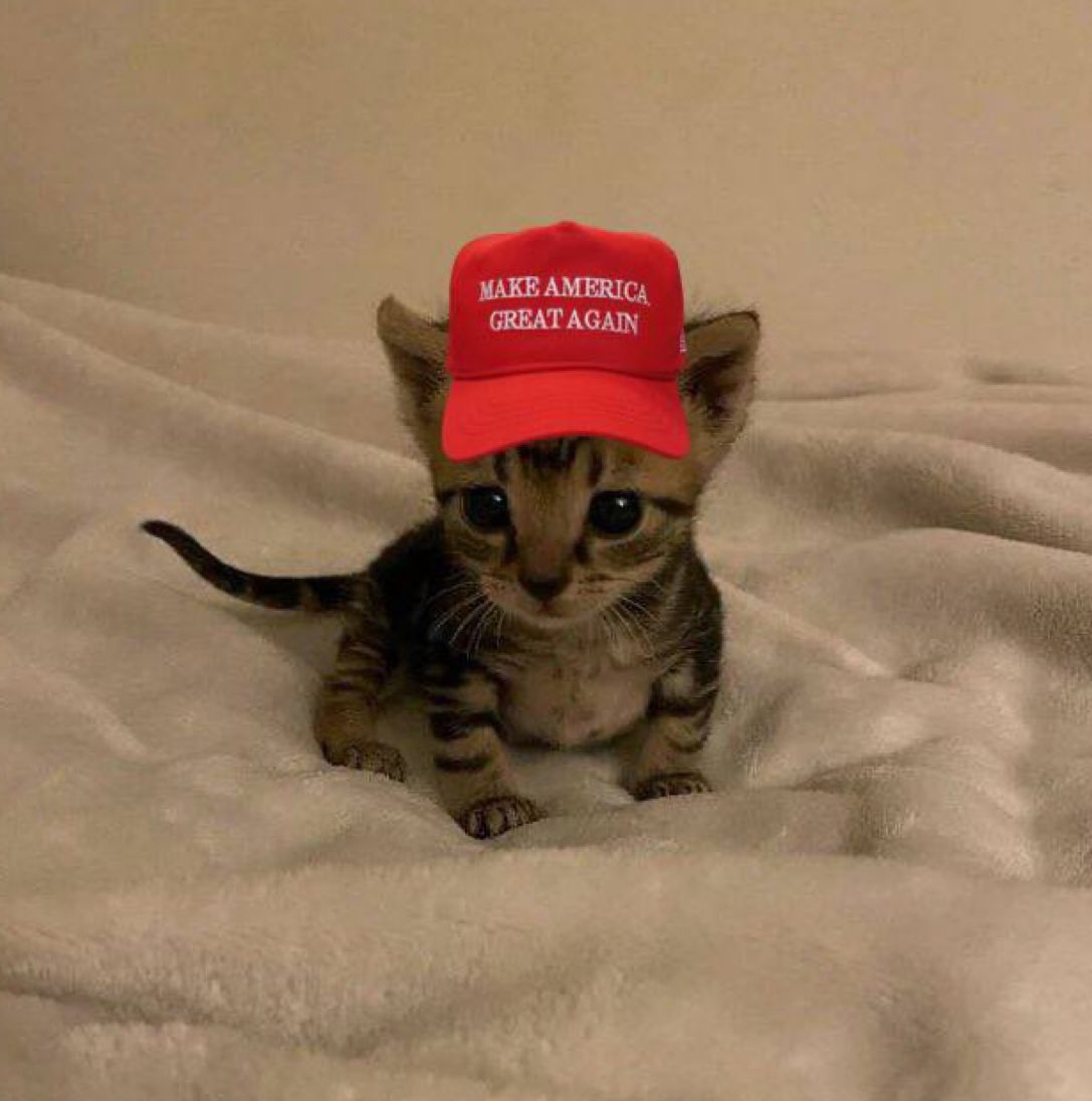 BOBBYCTO tweet media