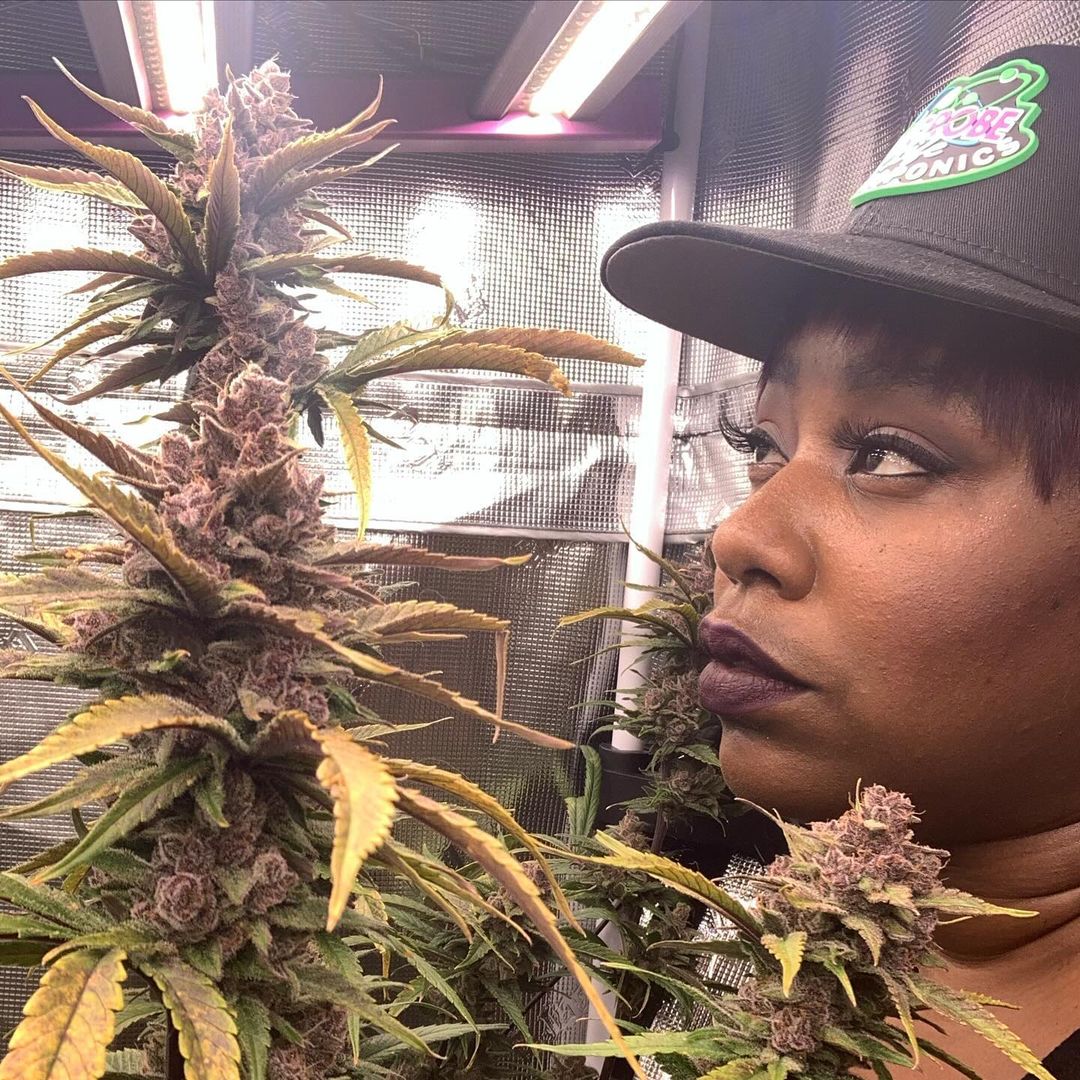 🚨Friday's giveaway!🚨
We are giving away:
+ 10 seeds of the award-winning Fast_Buds
 genetics  that are available on our official website
+ Epic Hoodie
+ Eco-friendly 420 Jar
+ Those special 420 Socks😉
+ Grower Gloves
+ Geotextile Pot
🚨Rules~
• Follow fast_buds
• Tag 3