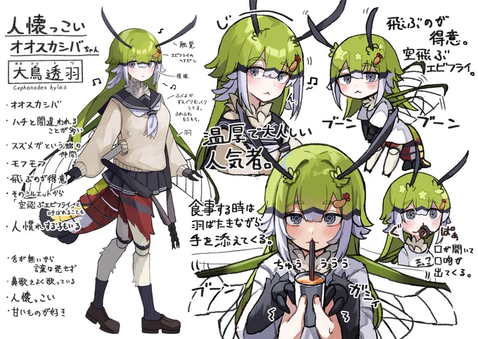 オオスカシバちゃん 