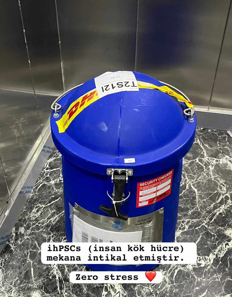 SevdeAltuntas's tweet image. ihPCSs sonunda labımıza ulaşmıştır, tüm sevenlerimize duyurulur.

❤️❤️❤️

#ekipişi
#devam
#AltuntasLab