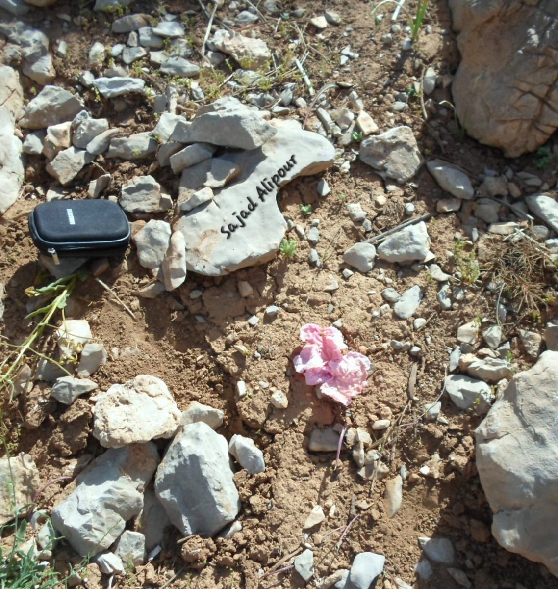 Dr. Sajad Alipour tweet media