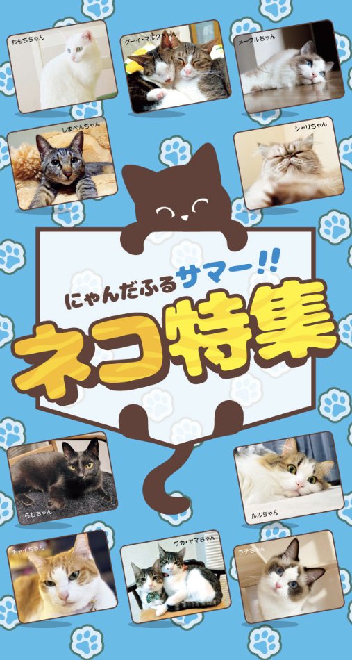 🐈全国のネコ好きさん集合！🐈 にゃんだふるサマー‼️ネコ特集に注目