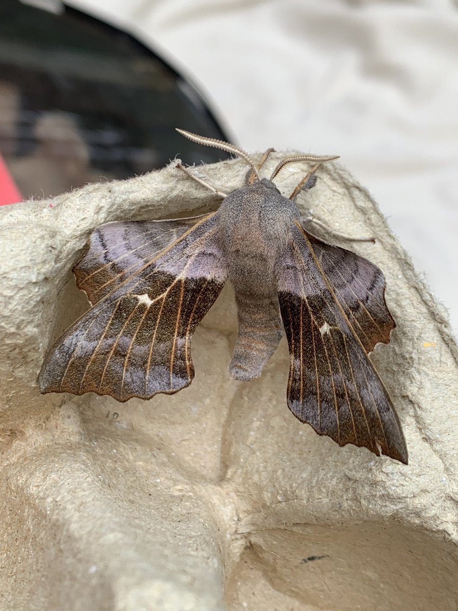 Tracy Munro tweet media