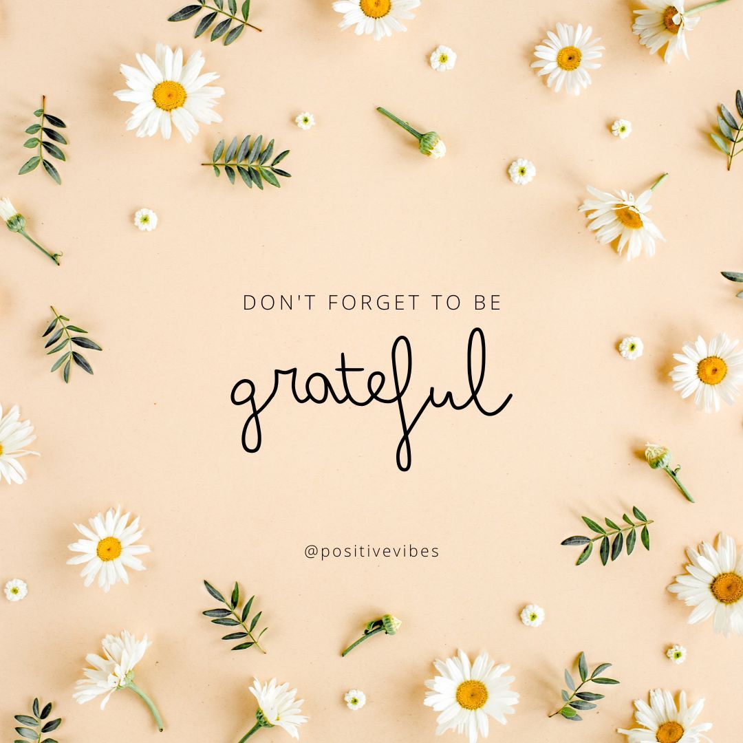Vibes3024's tweet photo. Always be Grateful
#viral #quotes #motivation #lifequotes #growth #clarity #quotes
#lifequotes #wisdom #quoteoftheday #quoteinstagram #life #lifequotes
#love #follow #inspirational https://t.co/dazbHoxqJR
